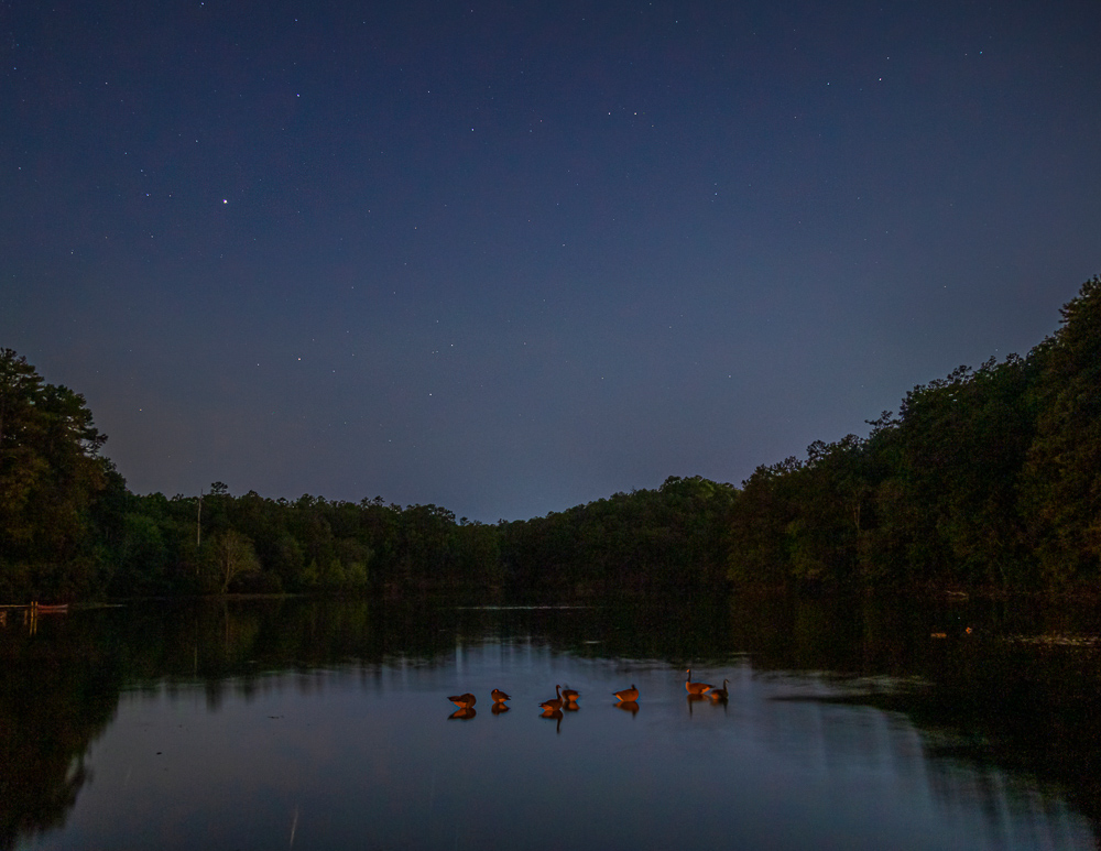 191001 geese and stars at night oak mountain IMG_6208 S