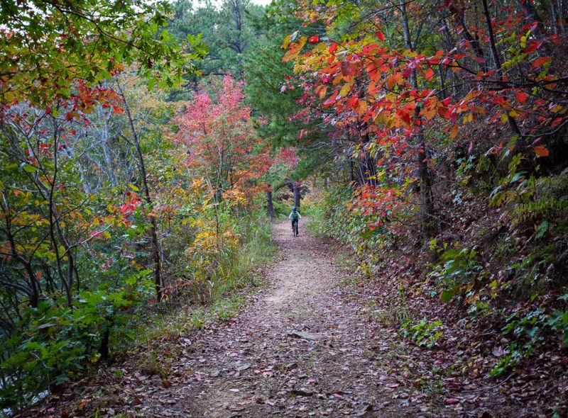 191104 oak mountain gorgeous fall day IMG_0739 S