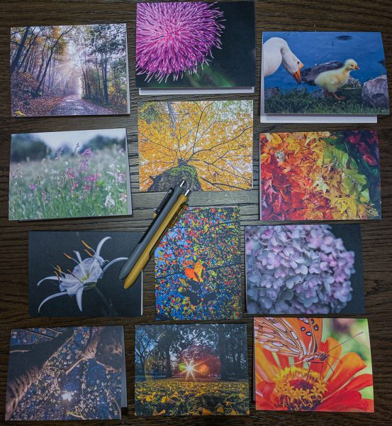 2021 Note Cards SMALL IMG_2554_1