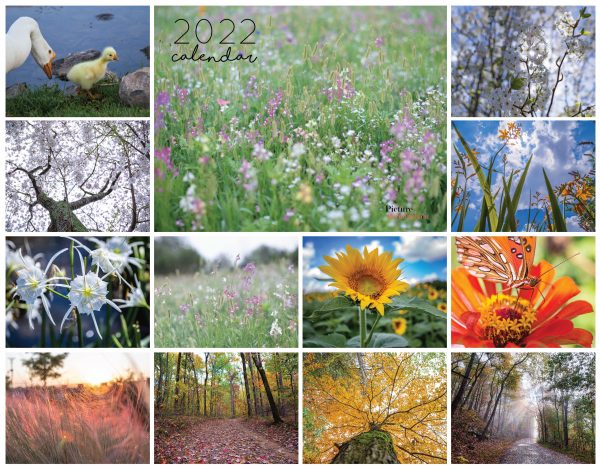 2022 Nature Calendar Preview Web