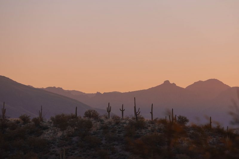 S 220203 tucson arizona sunrise rzc_8889 16x24 already have