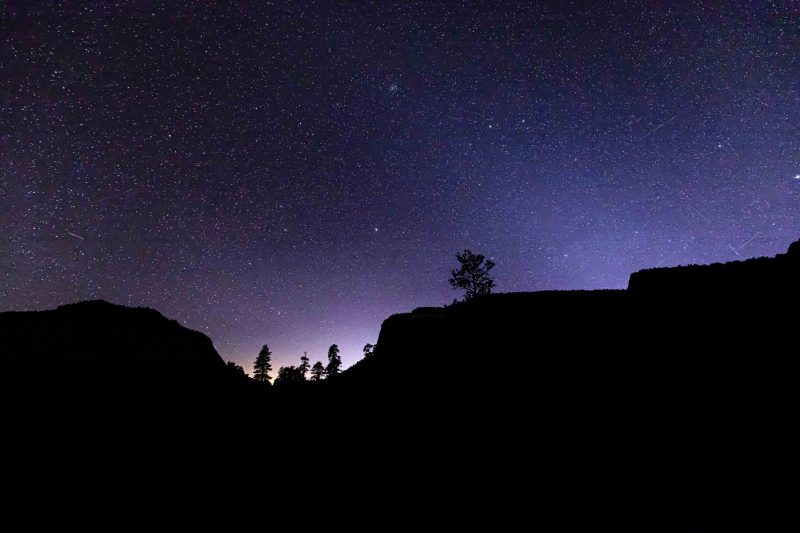 S LIVING ROOM 240509 Zion National Park Night Sky rzc_0206 16 X 24